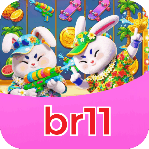 Interface br11